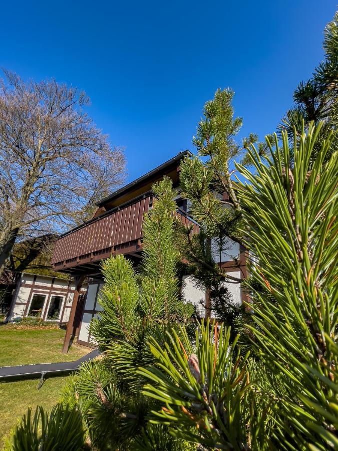 Am Wald Apartment *