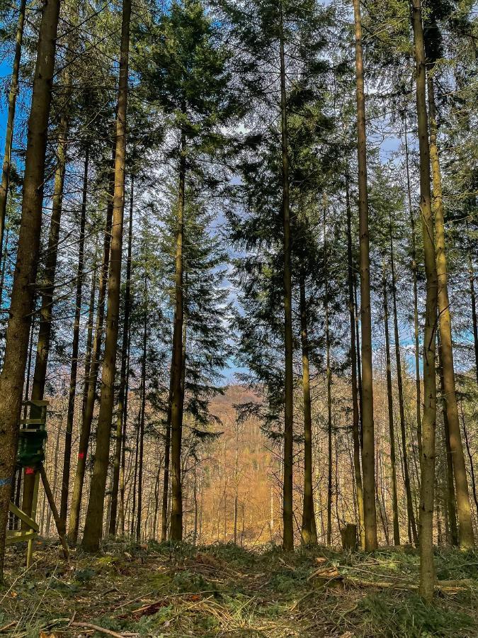 Am Wald Apartment